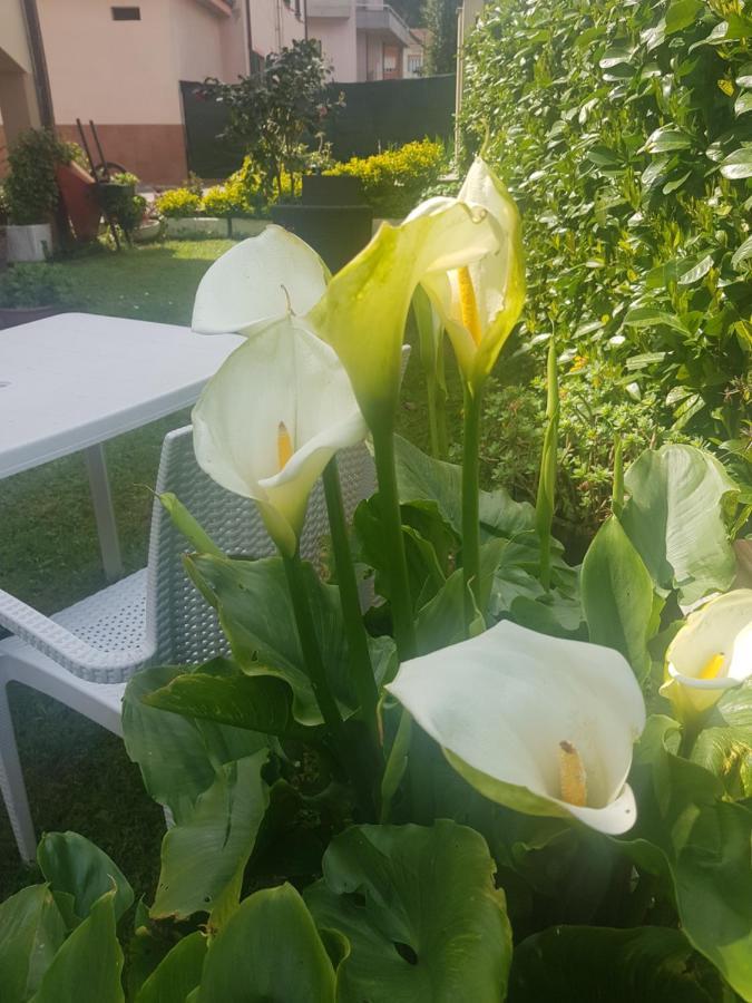 B&B La Damigiana Fioi Piano di Follo Экстерьер фото