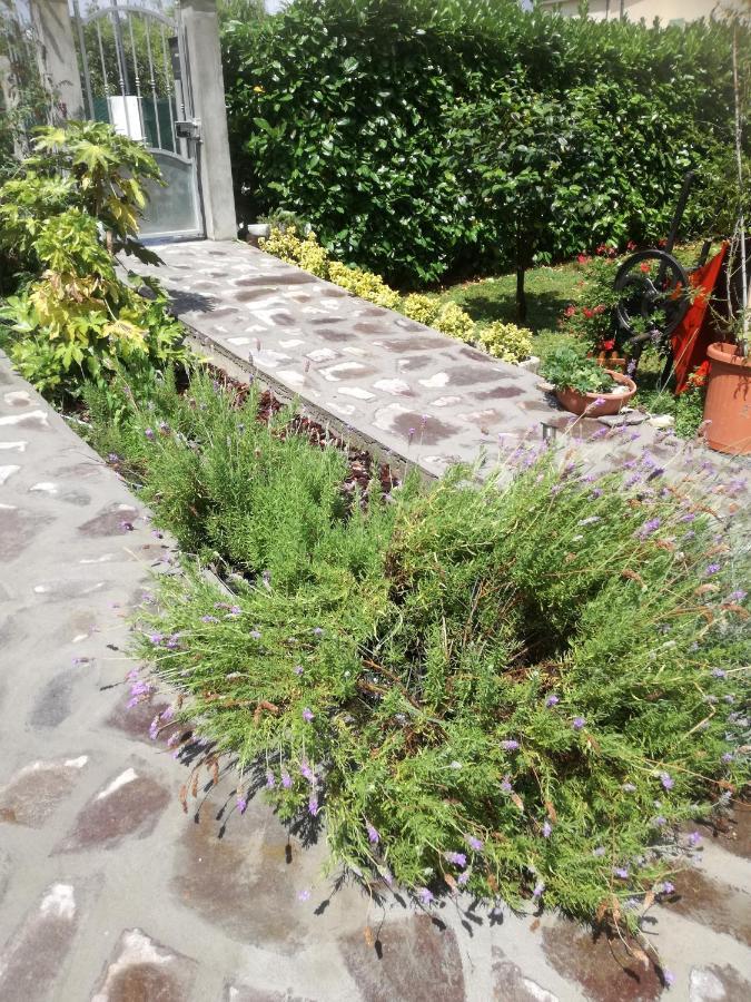 B&B La Damigiana Fioi Piano di Follo Экстерьер фото