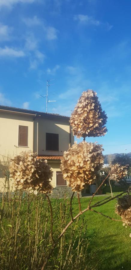 B&B La Damigiana Fioi Piano di Follo Экстерьер фото