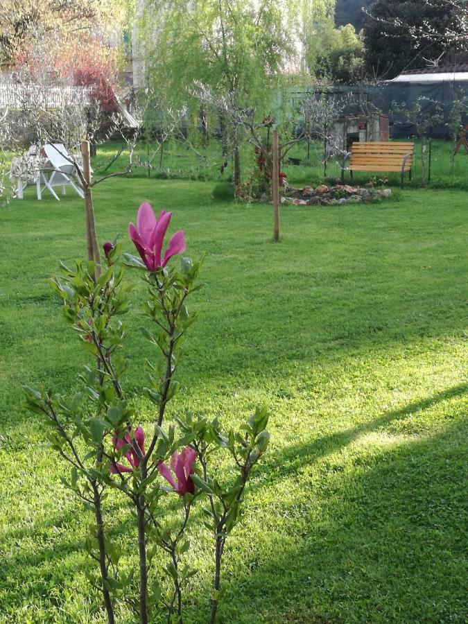 B&B La Damigiana Fioi Piano di Follo Экстерьер фото