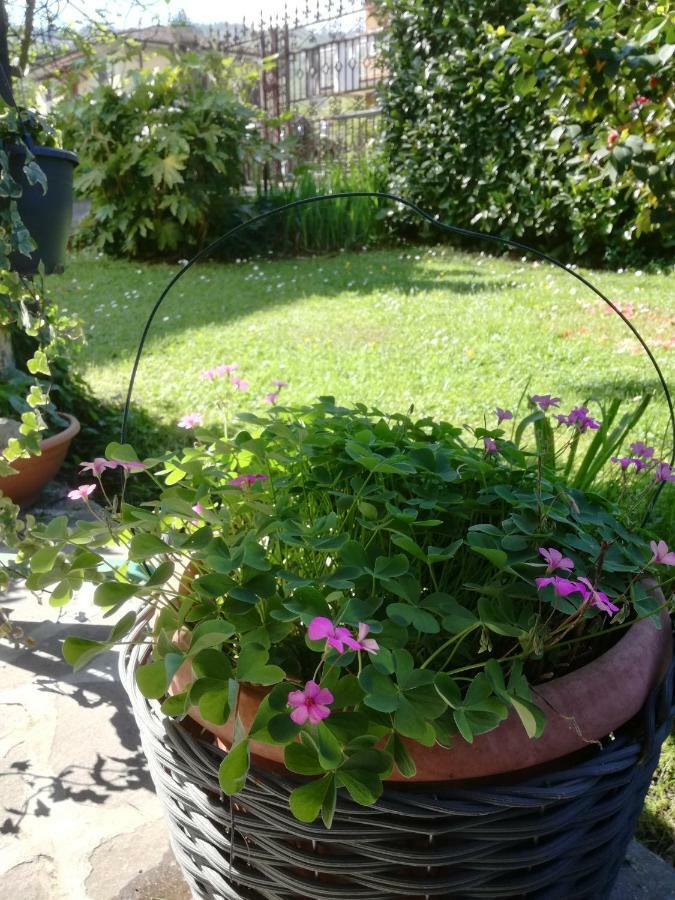 B&B La Damigiana Fioi Piano di Follo Экстерьер фото