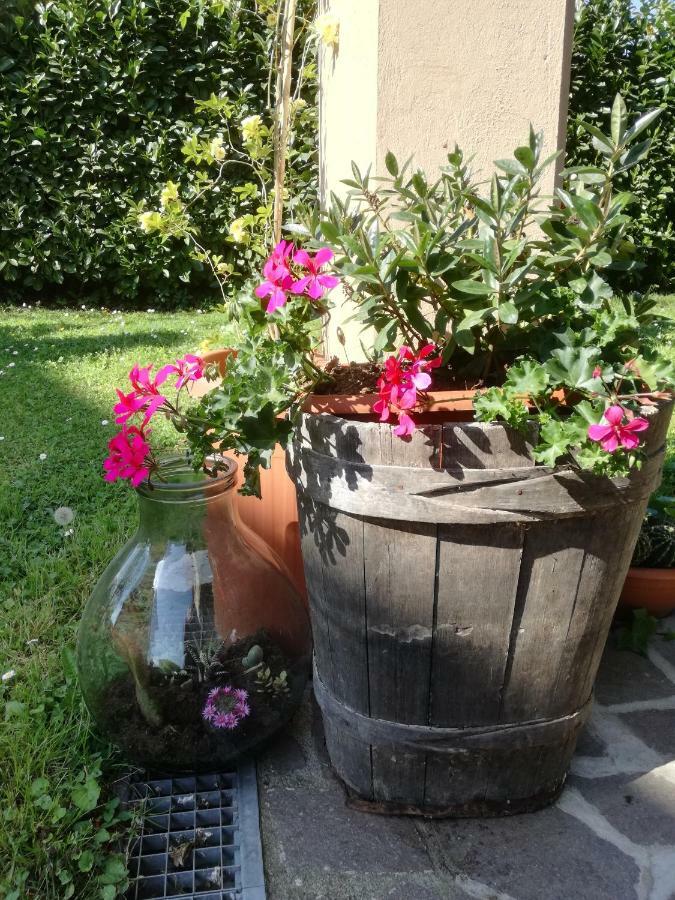B&B La Damigiana Fioi Piano di Follo Экстерьер фото