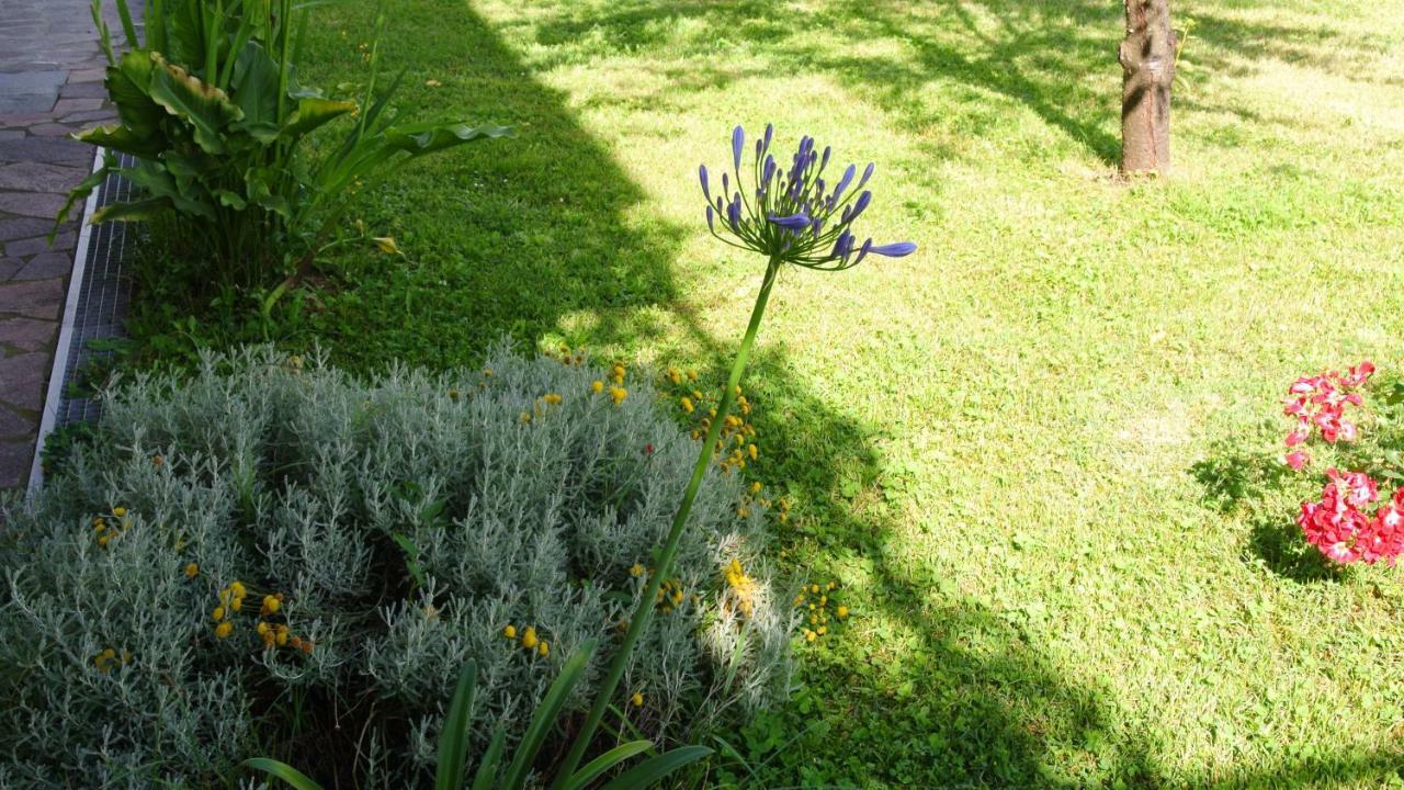 B&B La Damigiana Fioi Piano di Follo Экстерьер фото