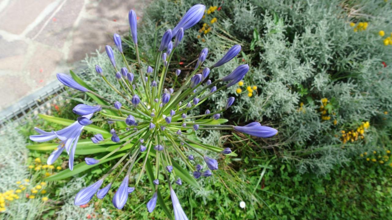 B&B La Damigiana Fioi Piano di Follo Экстерьер фото