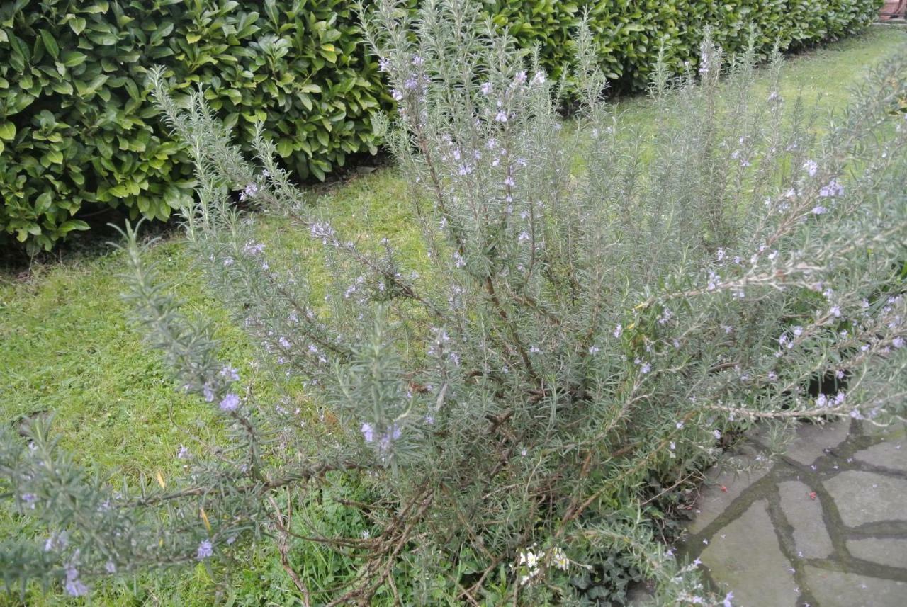 B&B La Damigiana Fioi Piano di Follo Экстерьер фото